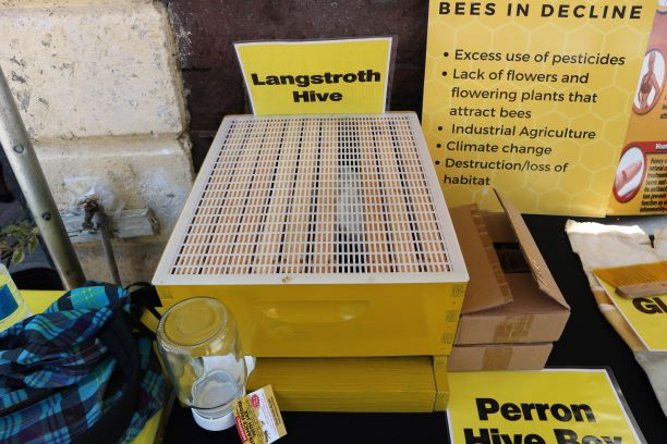 BEEKEEPING EQUIPMENT ON DISPLAY