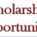 Notice Bulletin – Mexican Scholarship