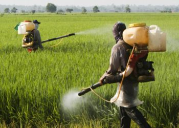 PESTICIDES WEEK ACTIVITIES AIM AT HIGHLIGHTING THE IMPORTANCE OF MITIGATING RISKS FROM EXPOSURE TO PESTICIDES