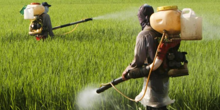 PESTICIDES WEEK ACTIVITIES AIM AT HIGHLIGHTING THE IMPORTANCE OF MITIGATING RISKS FROM EXPOSURE TO PESTICIDES