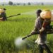 PESTICIDES WEEK ACTIVITIES AIM AT HIGHLIGHTING THE IMPORTANCE OF MITIGATING RISKS FROM EXPOSURE TO PESTICIDES