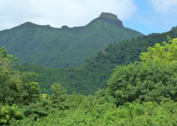 Work to be done at Central Forest Reserve National Park, Nevis Peak and Camps River Watershed Area