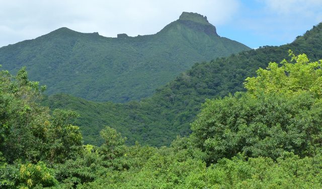 Work to be done at Central Forest Reserve National Park, Nevis Peak and Camps River Watershed Area
