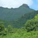 Work to be done at Central Forest Reserve National Park, Nevis Peak and Camps River Watershed Area