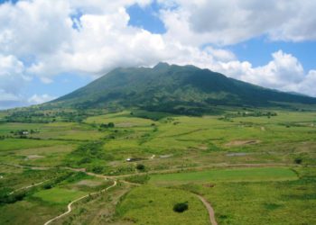 Central Forest Reserve Park joins The Queen’s Commonwealth Canopy Initiative