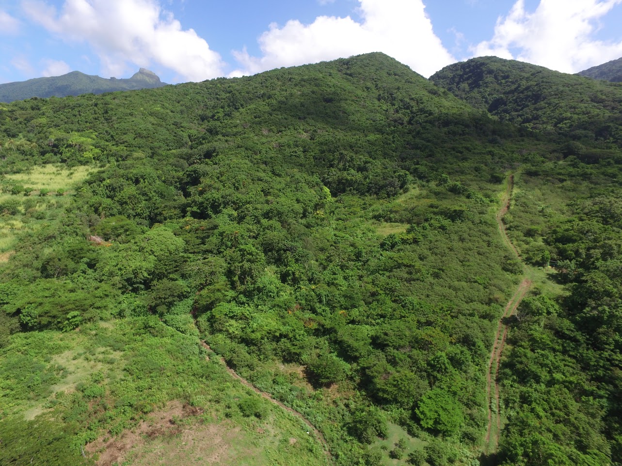 ST. KITTS AND NEVIS ATTRACTS TOURISTS THROUGH ECO AND HERITAGE TOURISM