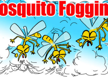 MINISTRY OF HEALTH NOTICE : FOGGING SCHEDULE