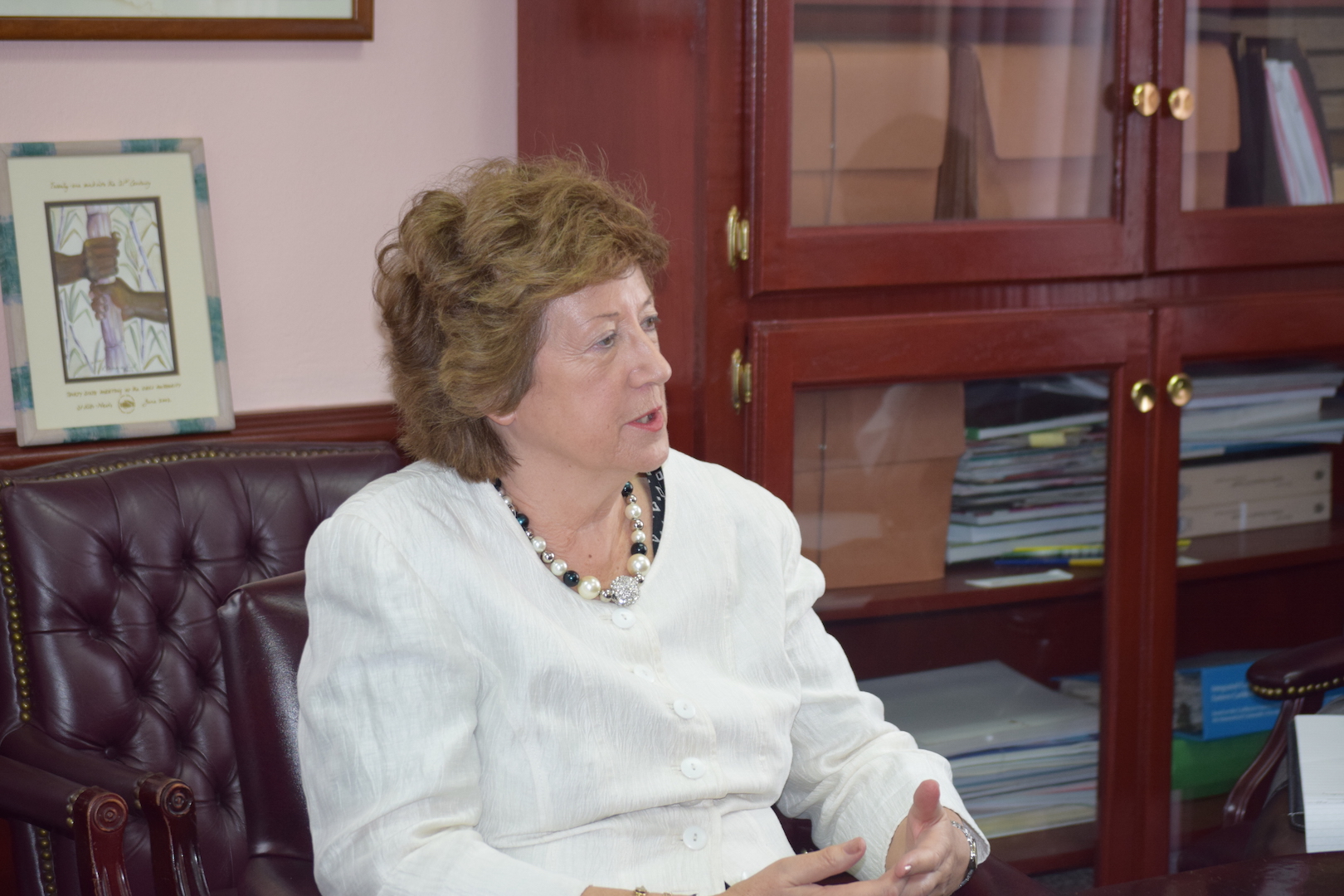 CRIME, HUMAN RIGHTS AND BREXIT IMPLICATIONS TOP PRIME MINISTER  HARRIS’ DISCUSSIONS WITH UK OFFICIALS