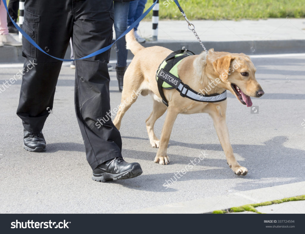 OVER $140,000 IN FINES ISSUED BY CUSTOMS AND EXCISE DEPARTMENT