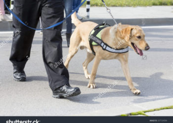 OVER $140,000 IN FINES ISSUED BY CUSTOMS AND EXCISE DEPARTMENT