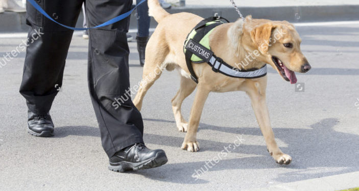 OVER $140,000 IN FINES ISSUED BY CUSTOMS AND EXCISE DEPARTMENT