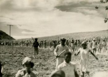 BUCKLEY’S UPRISING LED TO THE UNIFICATION OF A PEOPLE, SAYS PRIME MINISTER HARRIS