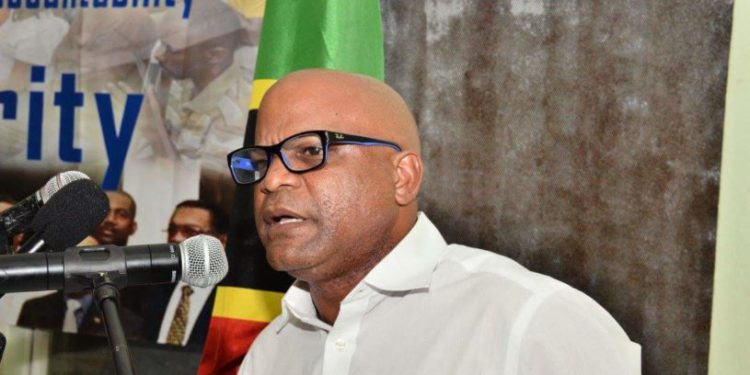 Cruise Tourism Will Continue To Boom in Upcoming Years, Says Minister Grant