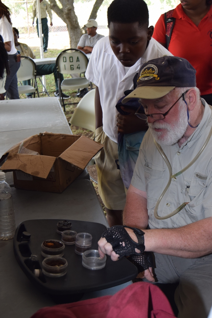 EXPERTS CLASSIFYING UNIQUE BUGS AND INSECTS IN NATURAL HABITATS