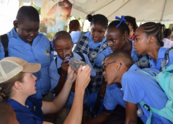 EXPERTS CLASSIFYING UNIQUE BUGS AND INSECTS IN NATURAL HABITATS