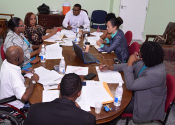 YOUTH POLICY INITIATIVE ENTERS FINAL STAGES Basseterre