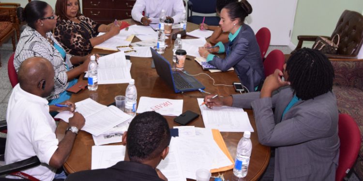 YOUTH POLICY INITIATIVE ENTERS FINAL STAGES Basseterre