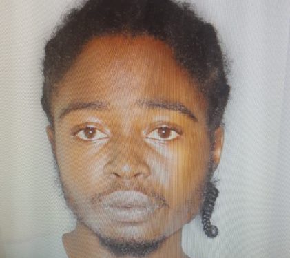 TWO CHARGED IN SATURDAY NIGHT (MAY 27) PELLET GUN INCIDENT