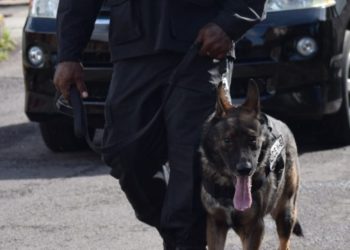 ONGOING SEARCH OPERATIONS, A CONTINUED DISPLAY OF POLICE RESOLVE IN FIGHTING CRIME