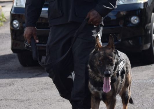 ONGOING SEARCH OPERATIONS, A CONTINUED DISPLAY OF POLICE RESOLVE IN FIGHTING CRIME