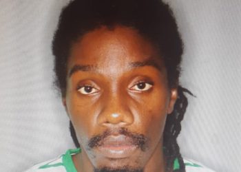 MAN CHARGED WITH MURDER IN GILLARD MEADOWS INCIDENT