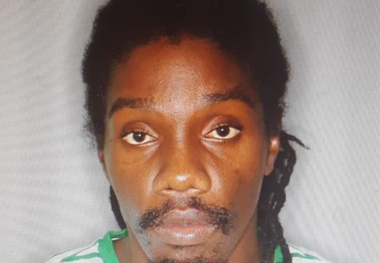 MAN CHARGED WITH MURDER IN GILLARD MEADOWS INCIDENT