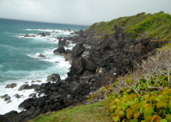 UPGRADES TO BLACK ROCKS TO ENHANCE BOTH VISITOR AND VENDOR EXPERIENCE