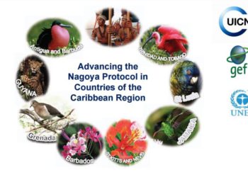 STAKEHOLDERS MEET IN ST. KITTS TO CONVENE REGIONAL WORKSHOP ON THE NAGOYA PROTOCOL