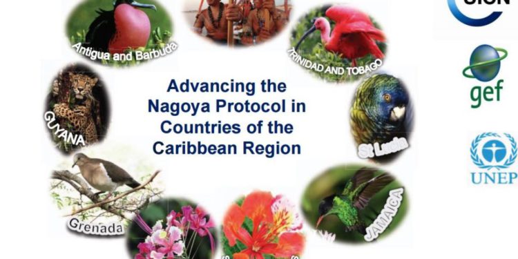 STAKEHOLDERS MEET IN ST. KITTS TO CONVENE REGIONAL WORKSHOP ON THE NAGOYA PROTOCOL