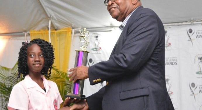 GOVERNOR GENERAL SEATON SAYS CELEBRATING EXCELLENCE IS VITAL