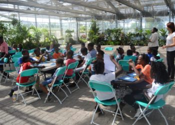 STUDENTS IN THE RURAL AREA BENEFIT FROM GREEN TOURISM CAMP