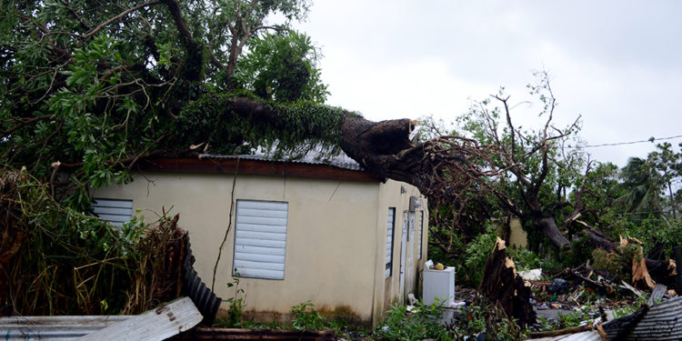 DUTY FREE CONCESSIONS ON BUILDING MATERIALS TO FACILITATE REPAIRS TO HOMES DAMAGED BY HURRICANES