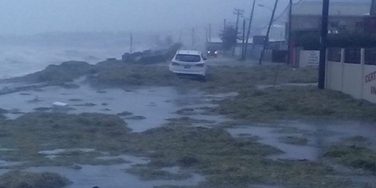 GOVERNMENT DECLARES TOMORROW NATIONAL CLEAN-UP DAY