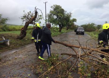 WEDNESDAY, SEPTEMBER 20, DECLARED A PUBLIC HOLIDAY AND NATIONAL CLEAN UP DAY