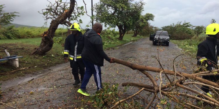 WEDNESDAY, SEPTEMBER 20, DECLARED A PUBLIC HOLIDAY AND NATIONAL CLEAN UP DAY