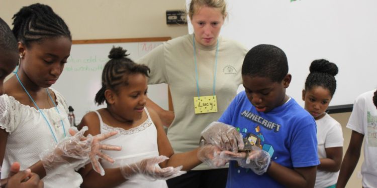 TWENTY-EIGHT TO BE RECOGNIZED FOR THEIR WORK TO CONSERVE AND RESTORE THE ENVIRONMENT