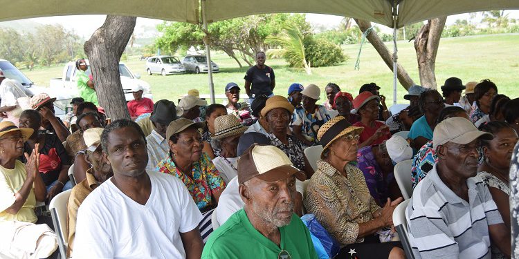 THE MONTH OF OLDER PERSONS TO CONCLUDE WITH AN ISLAND-WIDE MOTORCADE