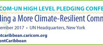 How to build back better after a hurricane with the next one a few months away