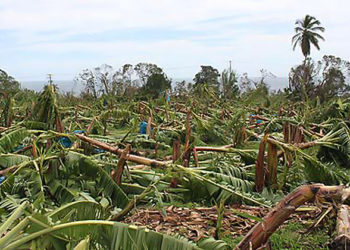 MINISTRY OF AGRICULTURE ASSISTS FARMERS AFFECTED BY HURRICANES