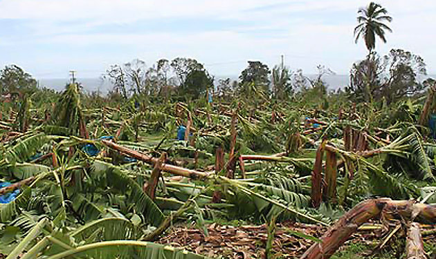 MINISTRY OF AGRICULTURE ASSISTS FARMERS AFFECTED BY HURRICANES