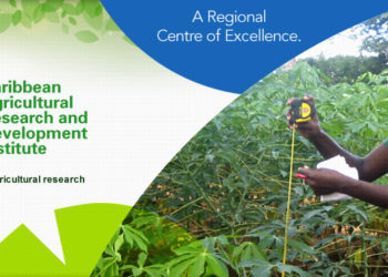 CARDI CONTINUES TO PLAY A VITAL ROLE IN THE AGRICULTURAL INDUSTRIES OF THE CARIBBEAN