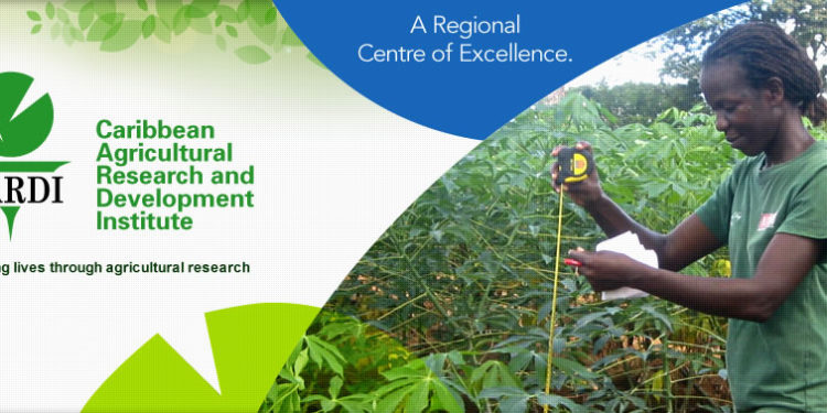 CARDI CONTINUES TO PLAY A VITAL ROLE IN THE AGRICULTURAL INDUSTRIES OF THE CARIBBEAN