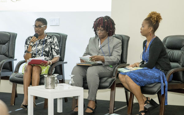 St. Kitts Delivers Captivating Presentation