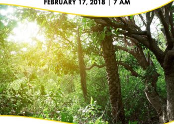 Lawyer Stephen’s Cave Hike