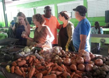 GOVERNMENT CALLS ON PRODUCE VENDORS TO OCCUPY THE BASSETERRE PUBLIC MARKET