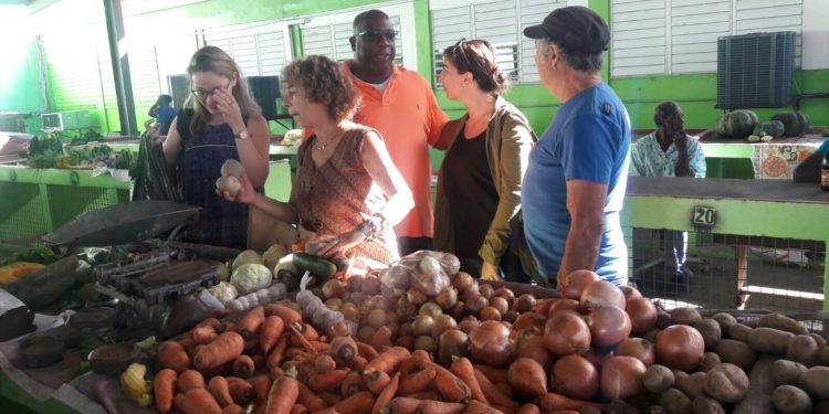 GOVERNMENT CALLS ON PRODUCE VENDORS TO OCCUPY THE BASSETERRE PUBLIC MARKET