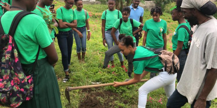 Cayon School Environment Club gets a head start for National Volunteers Day