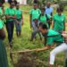 Cayon School Environment Club gets a head start for National Volunteers Day