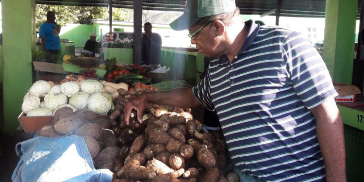 THE TEAM UNITY GOVERNMENT COMMITS TO FURTHER SUPPORTING SERIOUS FARMERS IN ST. KITTS AND NEVIS