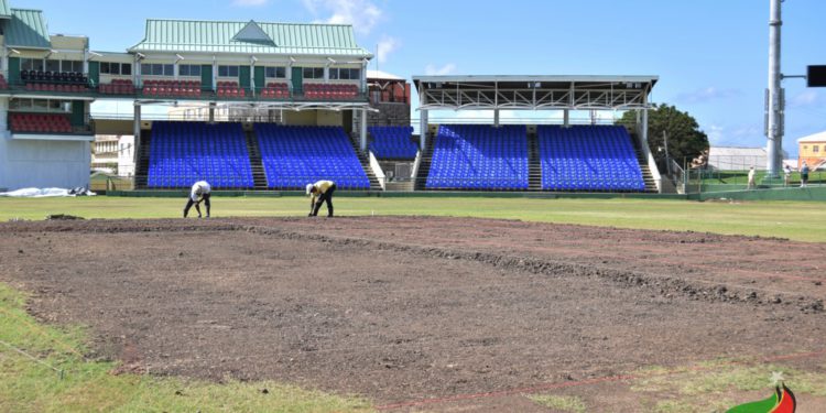 DIRECTOR WILTSHIRE COMMENDS WARNER PARK GROUNDS CREW